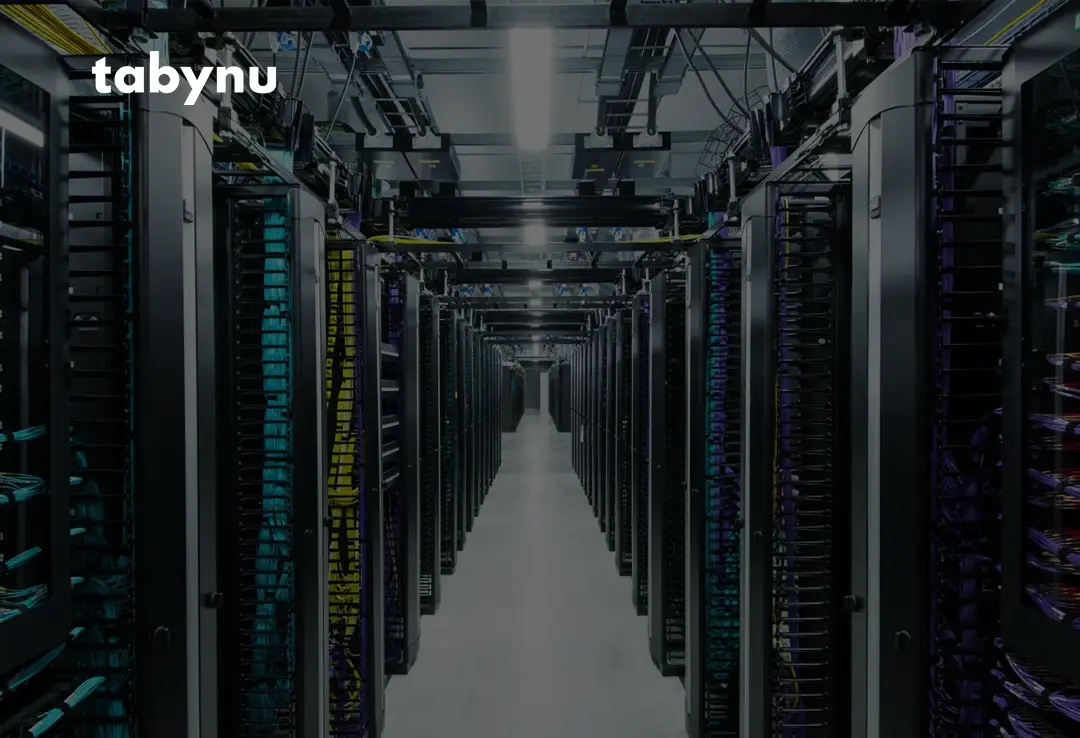 Казахстан it